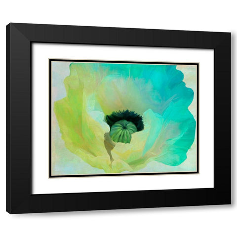 Poppy Gradient I Black Modern Wood Framed Art Print with Double Matting by Sasha