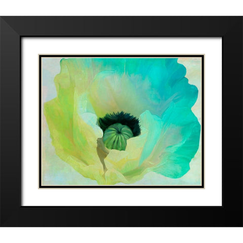 Poppy Gradient I Black Modern Wood Framed Art Print with Double Matting by Sasha