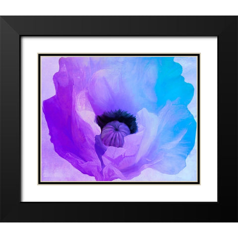 Poppy Gradient IV Black Modern Wood Framed Art Print with Double Matting by Sasha