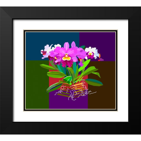 Cattleya Orchid Black Modern Wood Framed Art Print with Double Matting by Pansanit, Surapol