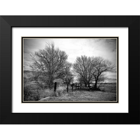 Trees Near A Fence Black Modern Wood Framed Art Print with Double Matting by Susan Vizvary Photography