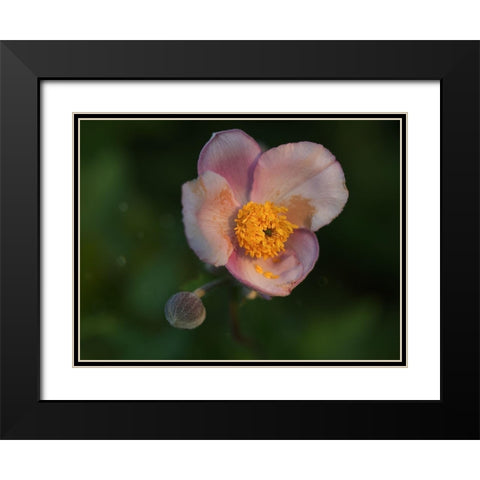 Hello World Black Modern Wood Framed Art Print with Double Matting by Bonin, Suzanne