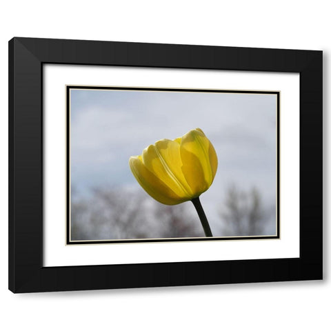 Alone Black Modern Wood Framed Art Print with Double Matting by Bonin, Suzanne