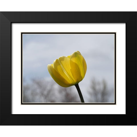 Alone Black Modern Wood Framed Art Print with Double Matting by Bonin, Suzanne