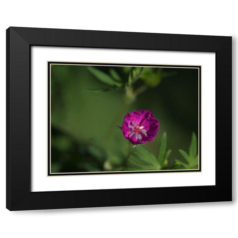 Lonely Black Modern Wood Framed Art Print with Double Matting by Bonin, Suzanne