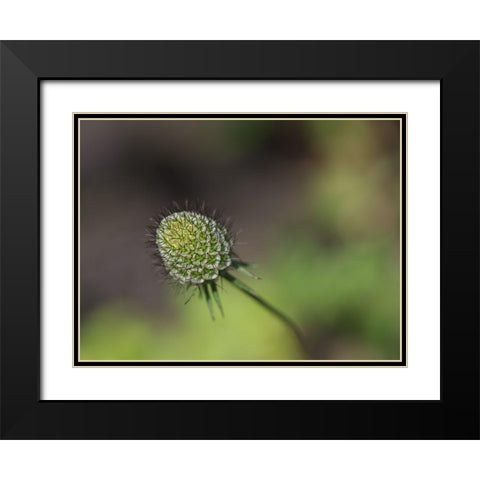 Mournful Widow Black Modern Wood Framed Art Print with Double Matting by Bonin, Suzanne