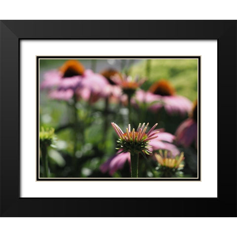 Spiky Black Modern Wood Framed Art Print with Double Matting by Bonin, Suzanne