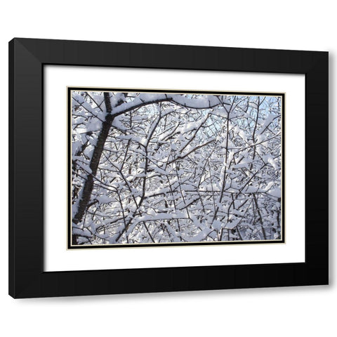 Still Winter Black Modern Wood Framed Art Print with Double Matting by Bonin, Suzanne