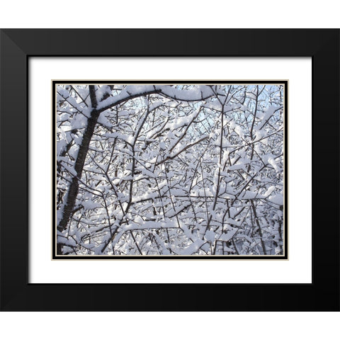 Still Winter Black Modern Wood Framed Art Print with Double Matting by Bonin, Suzanne