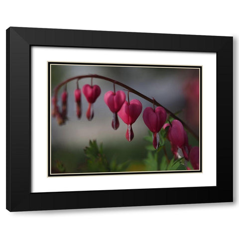 At Dusk Black Modern Wood Framed Art Print with Double Matting by Bonin, Suzanne