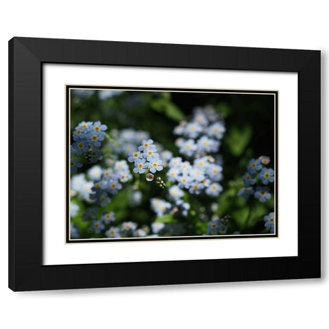 Beautiful Day Black Modern Wood Framed Art Print with Double Matting by Bonin, Suzanne