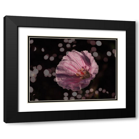 Bloody Cranesbill Black Modern Wood Framed Art Print with Double Matting by Bonin, Suzanne
