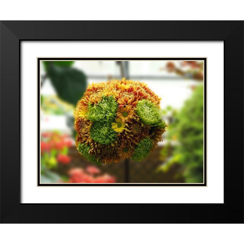 Chrysanthemum Bouquet Black Modern Wood Framed Art Print with Double Matting by Bonin, Suzanne