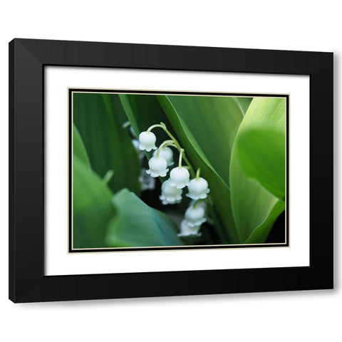 Clochettes Black Modern Wood Framed Art Print with Double Matting by Bonin, Suzanne