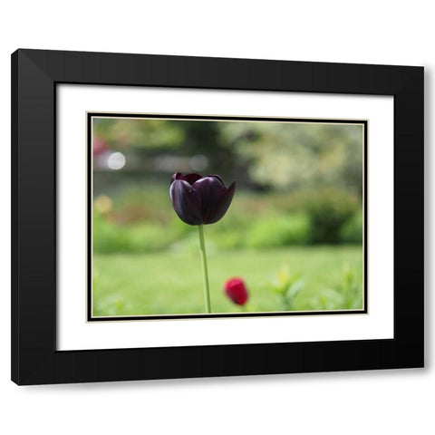 Dark Beauty Black Modern Wood Framed Art Print with Double Matting by Bonin, Suzanne