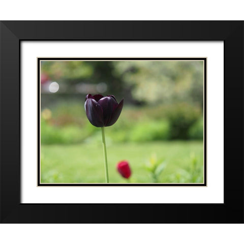 Dark Beauty Black Modern Wood Framed Art Print with Double Matting by Bonin, Suzanne