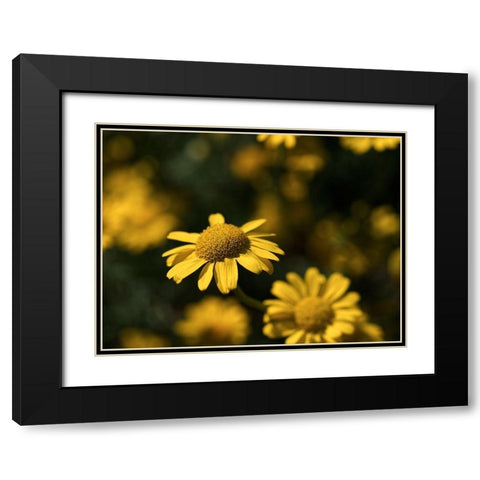 Dreamy Black Modern Wood Framed Art Print with Double Matting by Bonin, Suzanne