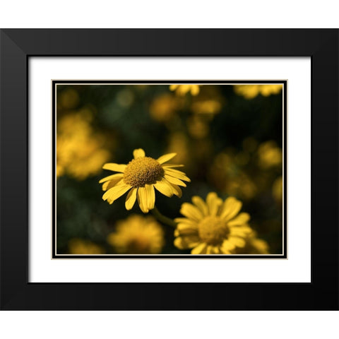 Dreamy Black Modern Wood Framed Art Print with Double Matting by Bonin, Suzanne
