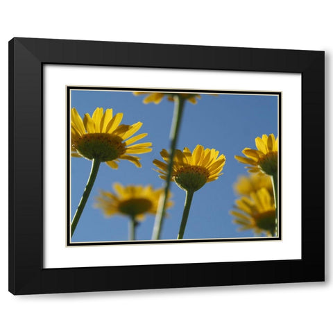 From Below Black Modern Wood Framed Art Print with Double Matting by Bonin, Suzanne