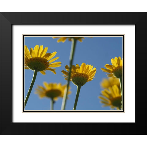 From Below Black Modern Wood Framed Art Print with Double Matting by Bonin, Suzanne