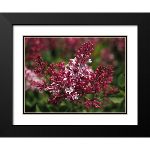 Joy Black Modern Wood Framed Art Print with Double Matting by Bonin, Suzanne