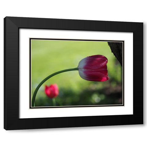 Leaning Black Modern Wood Framed Art Print with Double Matting by Bonin, Suzanne