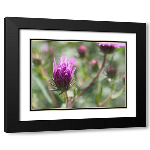 Nonchalant Beauty Black Modern Wood Framed Art Print with Double Matting by Bonin, Suzanne