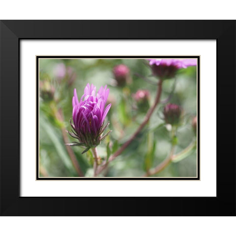 Nonchalant Beauty Black Modern Wood Framed Art Print with Double Matting by Bonin, Suzanne