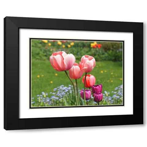 Nuances Black Modern Wood Framed Art Print with Double Matting by Bonin, Suzanne