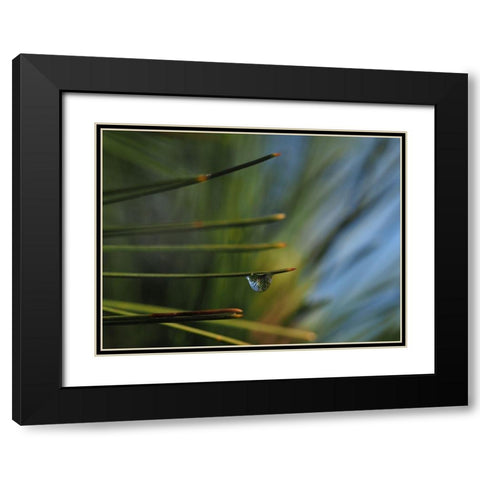 One Drop Black Modern Wood Framed Art Print with Double Matting by Bonin, Suzanne