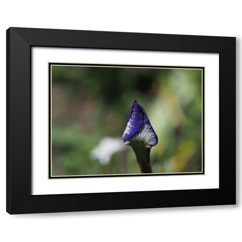 Opening Up Black Modern Wood Framed Art Print with Double Matting by Bonin, Suzanne
