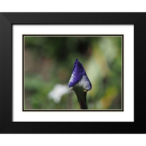 Opening Up Black Modern Wood Framed Art Print with Double Matting by Bonin, Suzanne