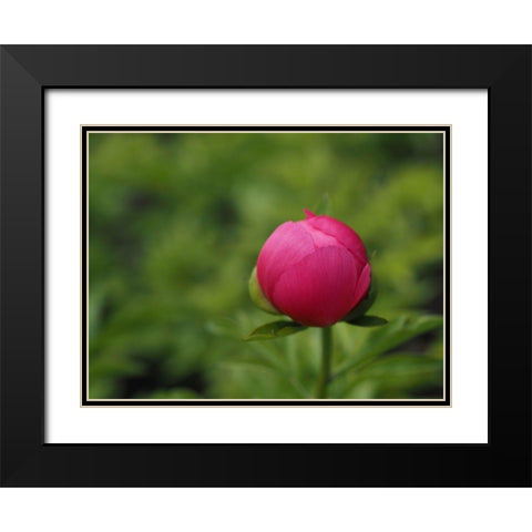 Perfection In Nature Black Modern Wood Framed Art Print with Double Matting by Bonin, Suzanne
