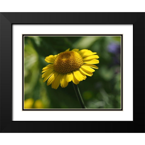 Prettier In Yellow Black Modern Wood Framed Art Print with Double Matting by Bonin, Suzanne