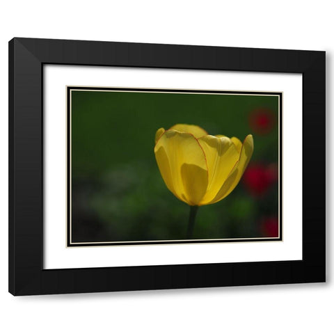 Pretty Lady Black Modern Wood Framed Art Print with Double Matting by Bonin, Suzanne