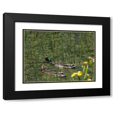 Sauve Qui Peut Black Modern Wood Framed Art Print with Double Matting by Bonin, Suzanne