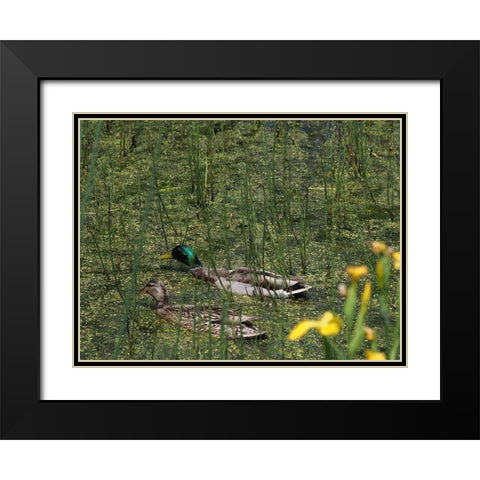 Sauve Qui Peut Black Modern Wood Framed Art Print with Double Matting by Bonin, Suzanne