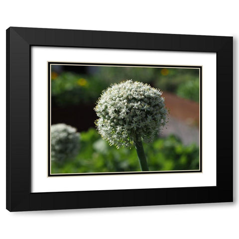 Sphere Black Modern Wood Framed Art Print with Double Matting by Bonin, Suzanne