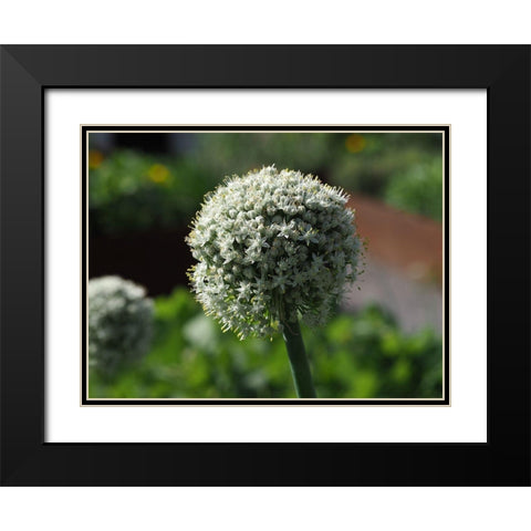 Sphere Black Modern Wood Framed Art Print with Double Matting by Bonin, Suzanne