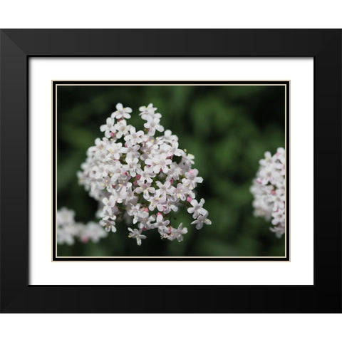 Spicy Black Modern Wood Framed Art Print with Double Matting by Bonin, Suzanne