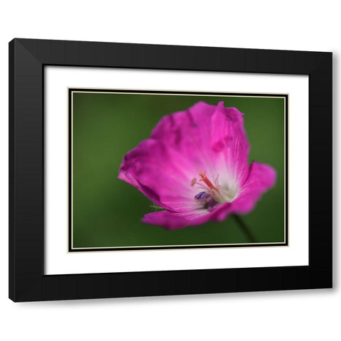 The Heart Of It Black Modern Wood Framed Art Print with Double Matting by Bonin, Suzanne