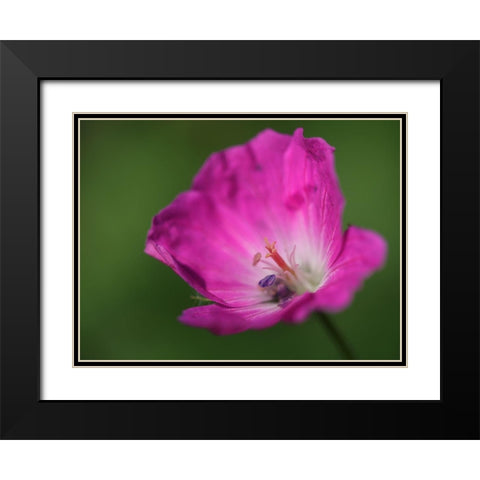 The Heart Of It Black Modern Wood Framed Art Print with Double Matting by Bonin, Suzanne