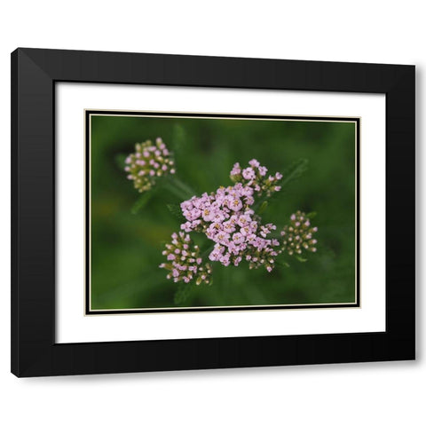 This Is Life Black Modern Wood Framed Art Print with Double Matting by Bonin, Suzanne