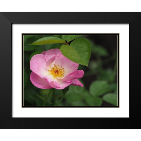 Under The Shade Black Modern Wood Framed Art Print with Double Matting by Bonin, Suzanne