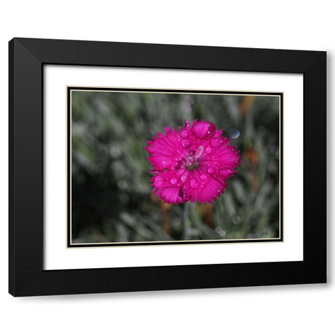 Wet Wild Earth Black Modern Wood Framed Art Print with Double Matting by Bonin, Suzanne