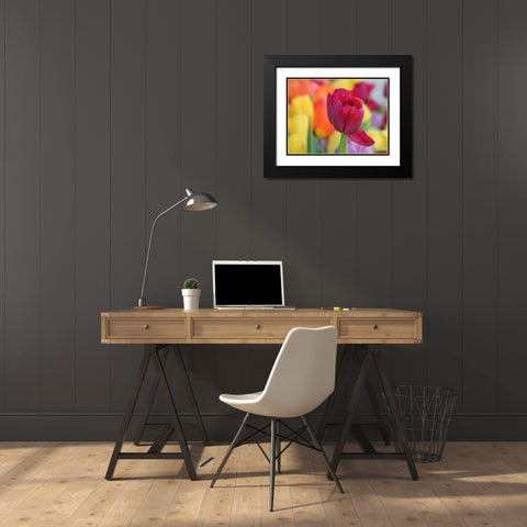 Colorful Black Modern Wood Framed Art Print with Double Matting by Bonin, Suzanne