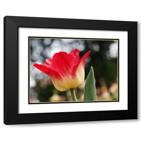 Happy One Black Modern Wood Framed Art Print with Double Matting by Bonin, Suzanne