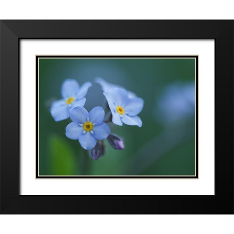 Ladies In Blue Black Modern Wood Framed Art Print with Double Matting by Bonin, Suzanne