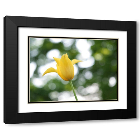 Lady In Yellow Black Modern Wood Framed Art Print with Double Matting by Bonin, Suzanne