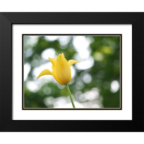 Lady In Yellow Black Modern Wood Framed Art Print with Double Matting by Bonin, Suzanne
